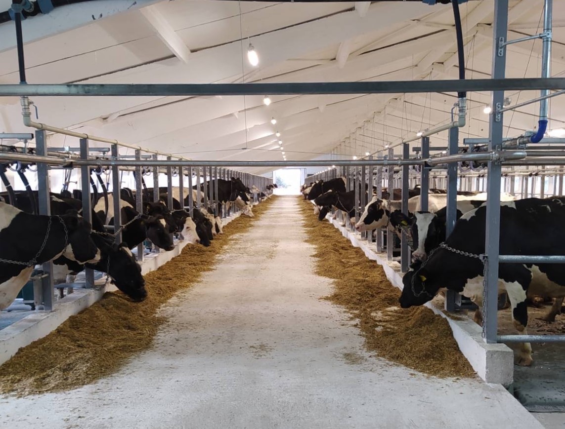 UPI-AGRO has completed the second stage of reconstruction of the dairy management system  using Canadian technology