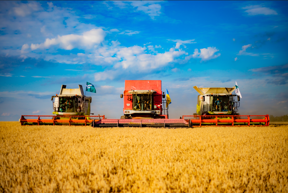 «УКРПРОМІНВЕСТ-АГРО» завершив збір озимої пшениці із історично рекордними показниками урожайності